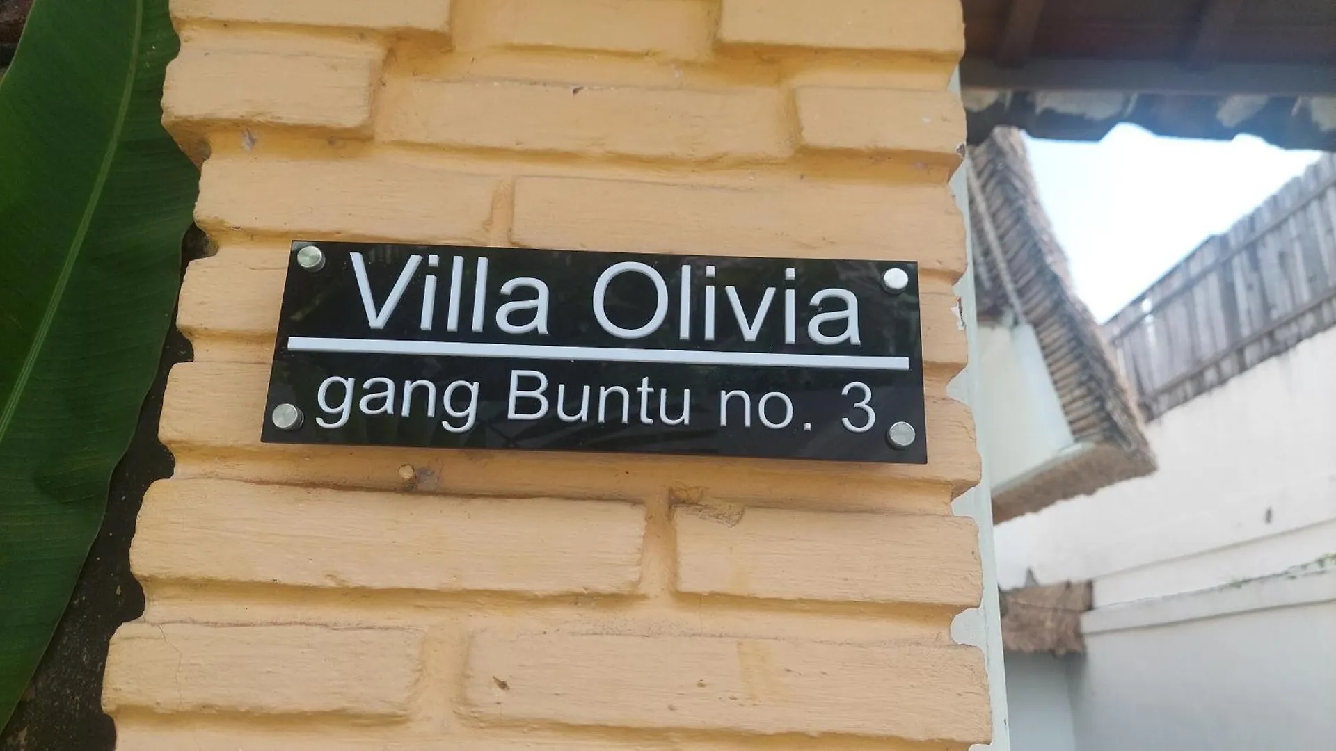Villa Olivia kontakter